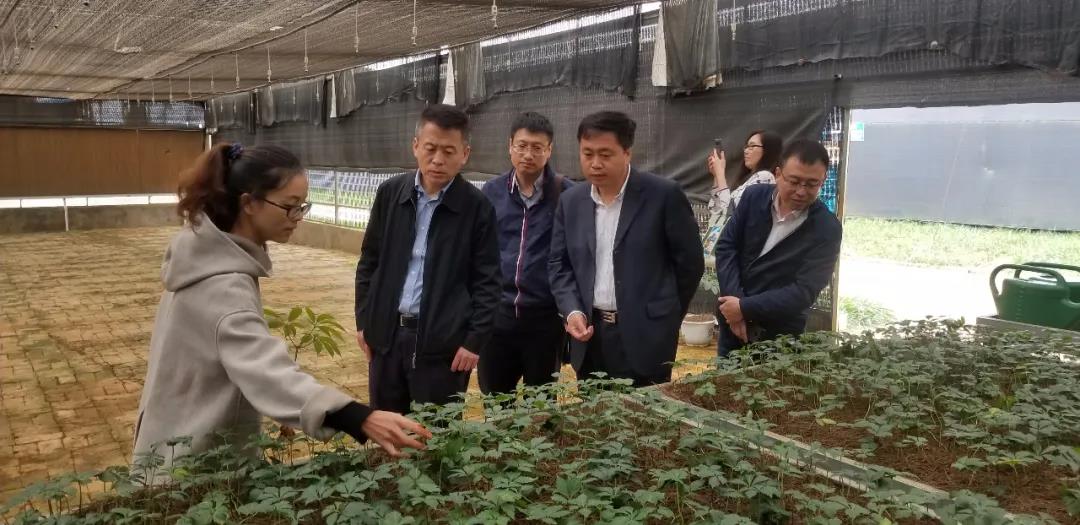 7CE2B6673D54E6A59D72F41E1B6_DA435BF0_1922F.jpg?e= 9001cc金沙以诚为本(中国)有限公司官网