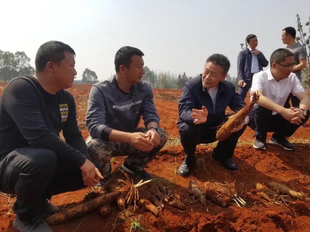 FDE740F93D962E8306716C93921_C23194AA_1D2FD.jpg?e= 9001cc金沙以诚为本(中国)有限公司官网